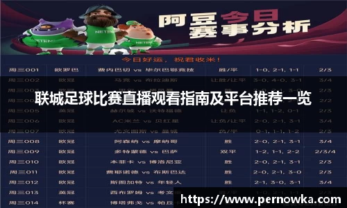 联城足球比赛直播观看指南及平台推荐一览