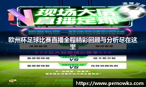 欧州杯足球比赛直播全程精彩回顾与分析尽在这里