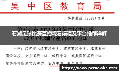 石湖足球比赛直播观看渠道及平台推荐详解