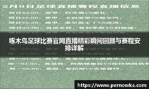 啄木鸟足球比赛官网直播精彩瞬间回顾与赛程安排详解