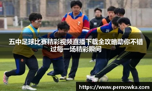 杏彩娱乐手机最新版本