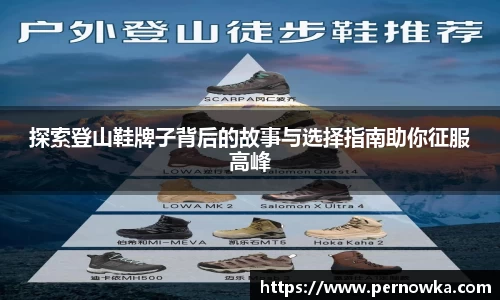 杏彩娱乐手机最新版本