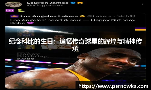 杏彩娱乐手机最新版本